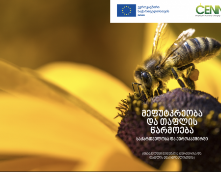 მეფუტკრეობა და თაფლის წარმოება ევროკავშირსა და საქართველოში