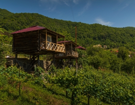 Family Wine Cellar and Guesthouse in the village of Pirveli Maisi 